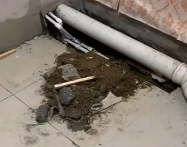 肇州卫生间漏水检测哪家好