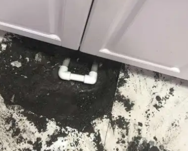 肇州查漏水哪家好